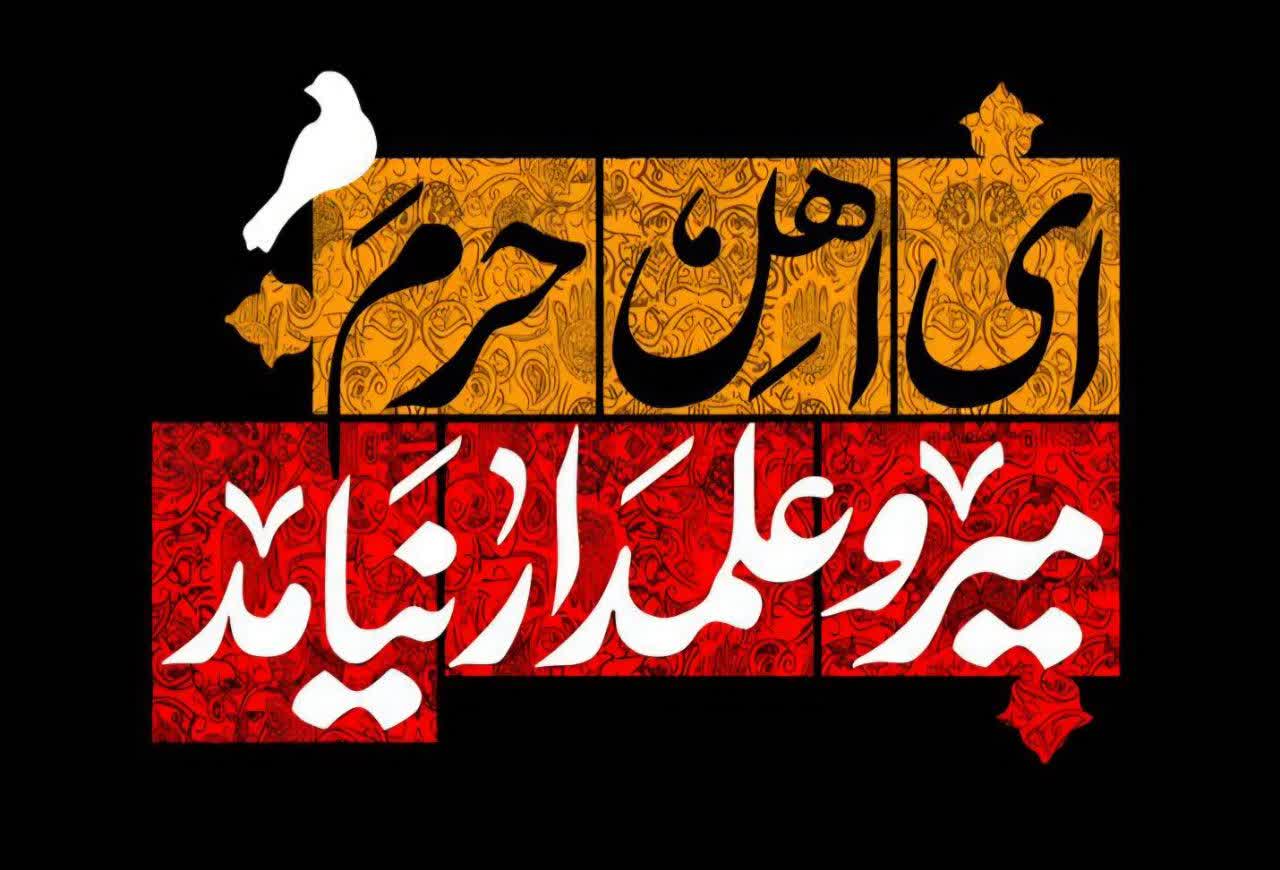پست تصویری کانال هیئت میامی‌ها