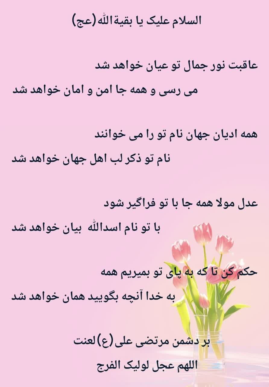 پست تصویری کانال هیئت میامی‌ها